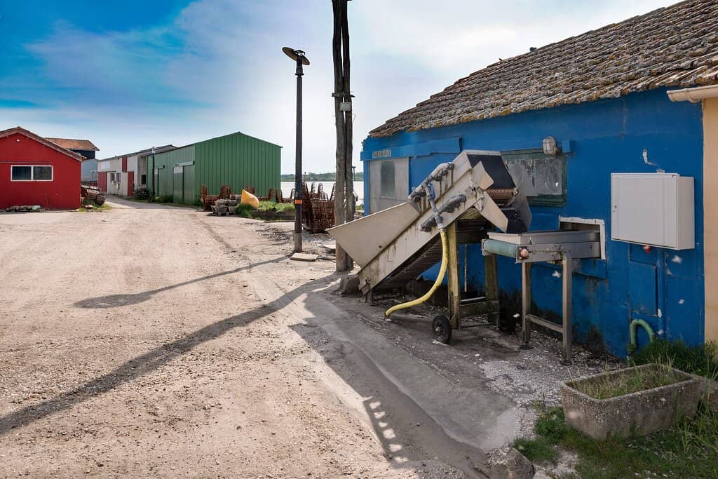 Fort Boyard Departure Point