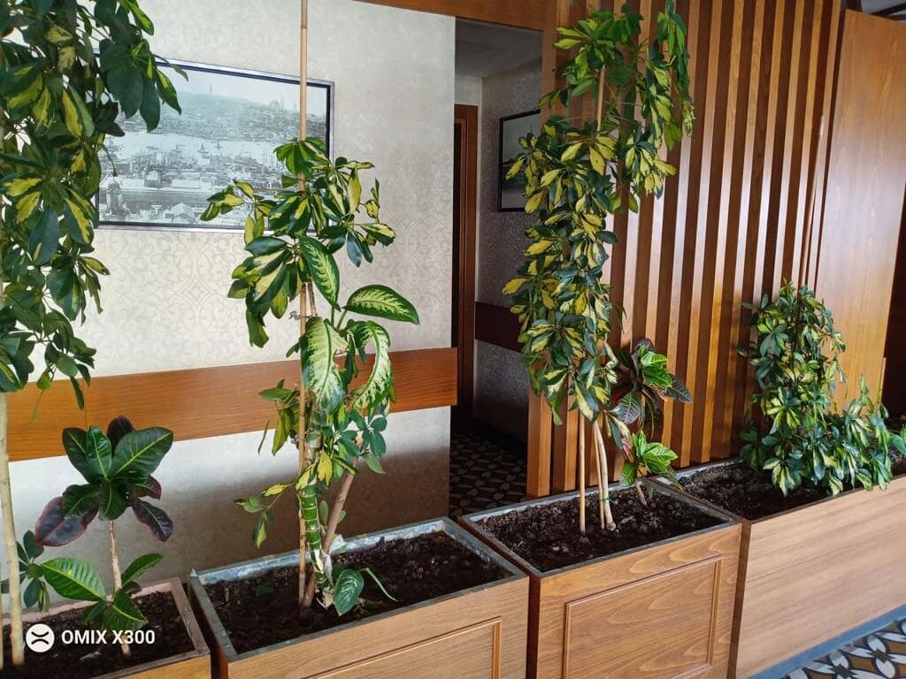 Panoramic City Views