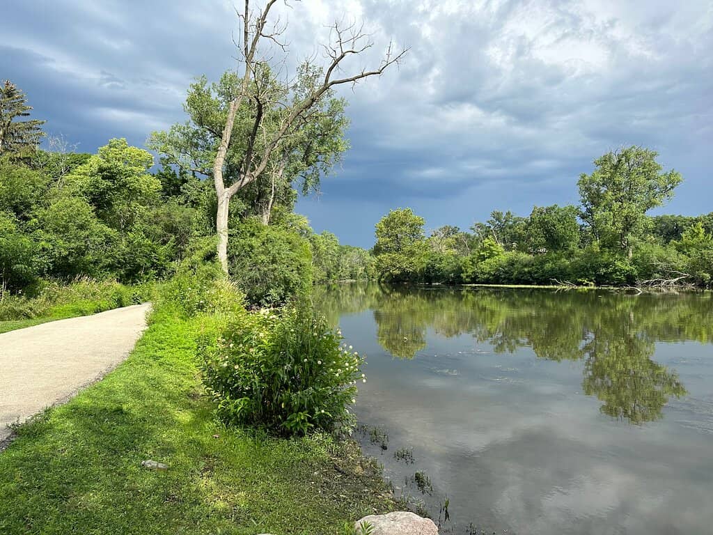 Salt Creek Restoration Project