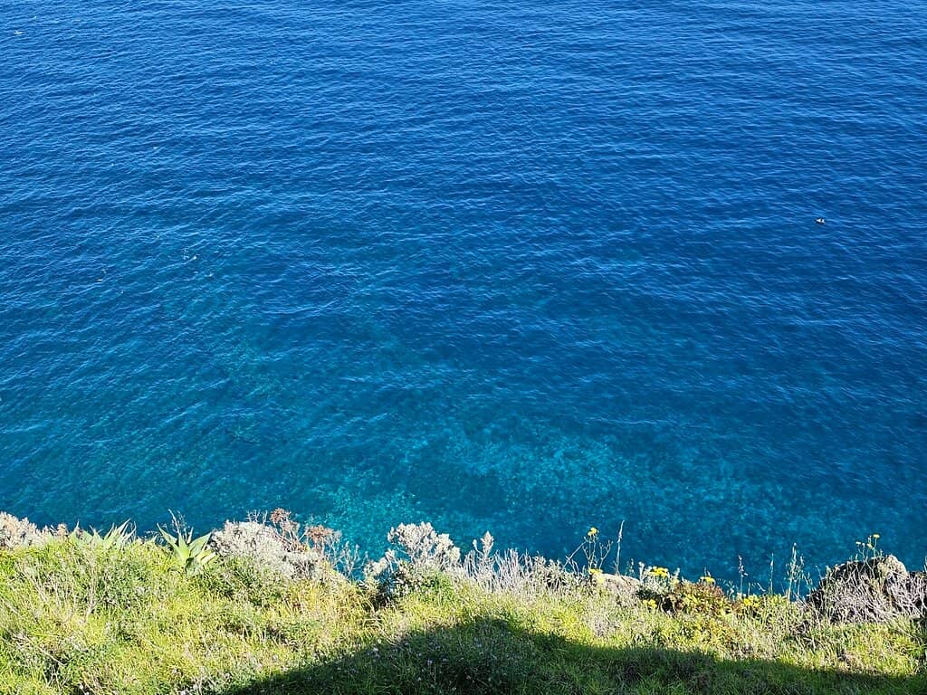 Panoramic Coastal Vistas