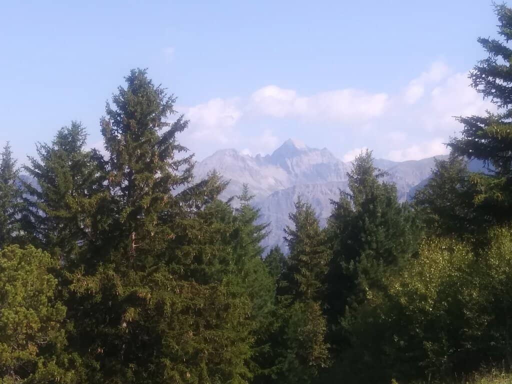 Panoramic Mountain Dining