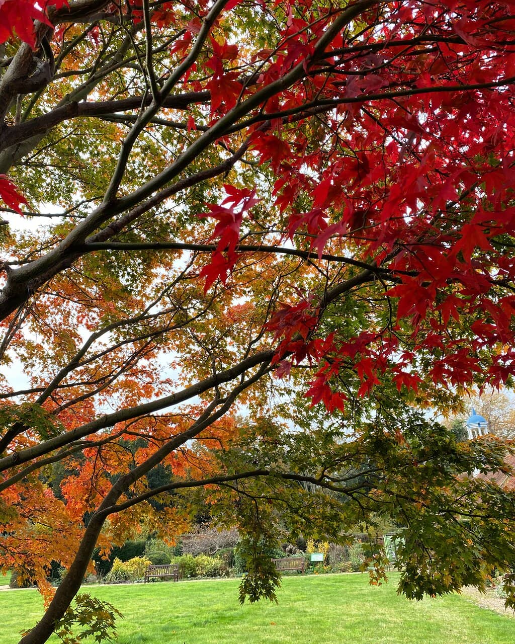 Roman Finds & Bike Collection