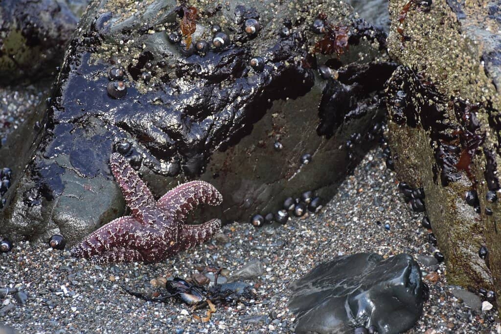 Crystal Clear Waters