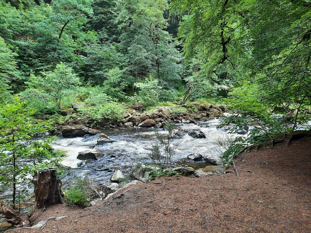 The Lodge Coffee House