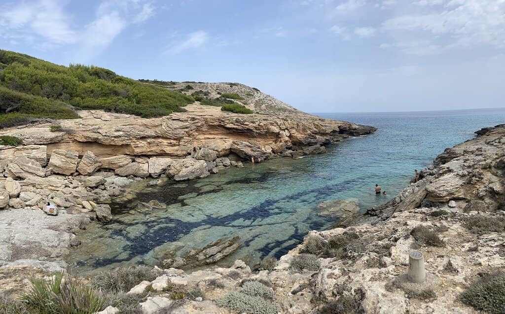 Abundant Marine Life