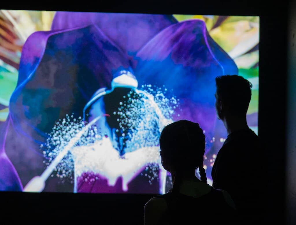 Selfie Spots & Relaxation