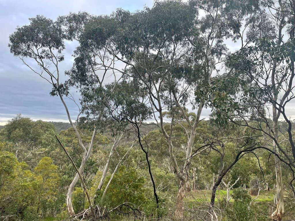 Walking & Cycling Trails