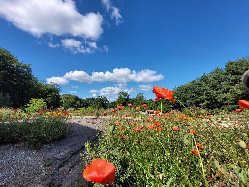Scenic Walking Trails