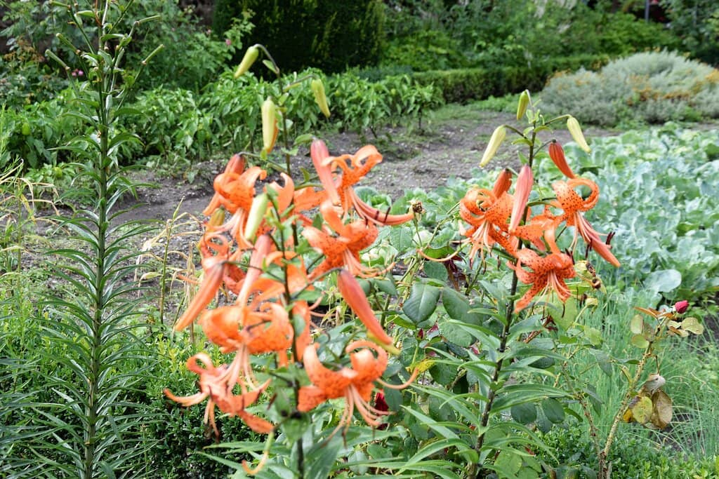 Mid-19th Century Fountain