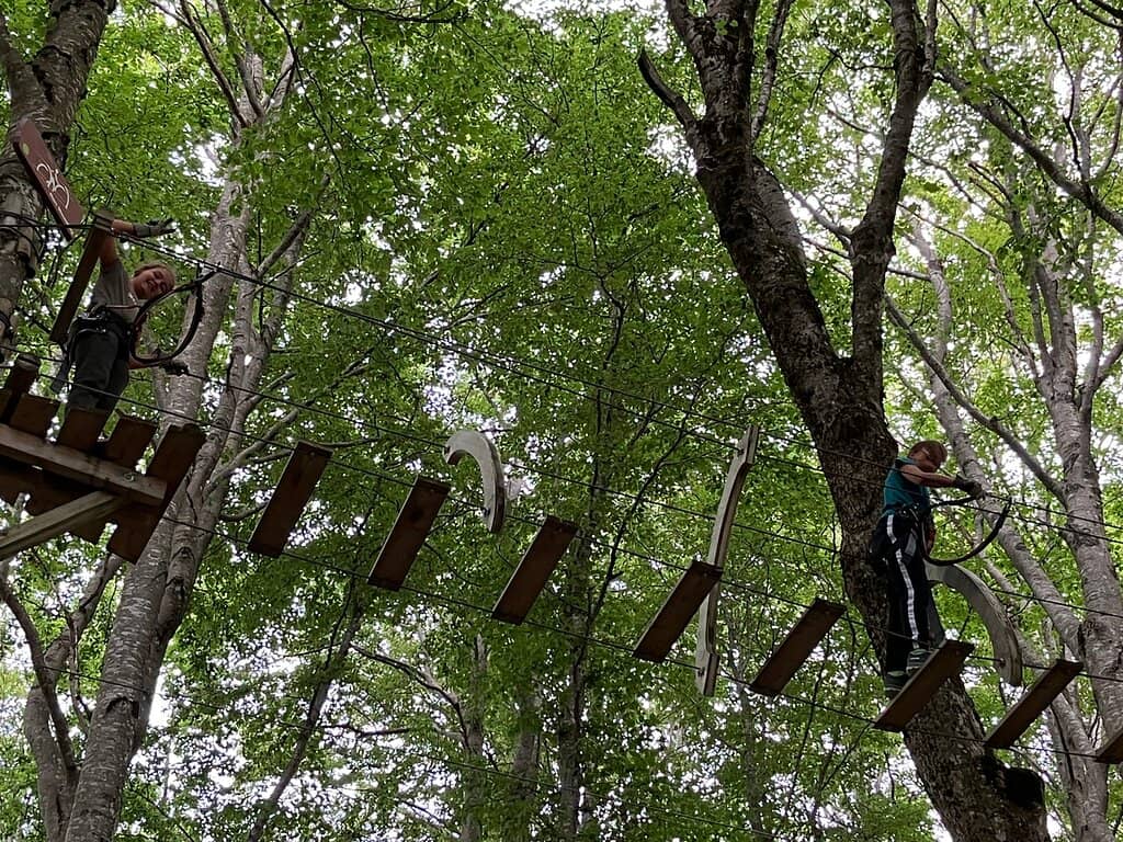 Scenic Hiking Trails