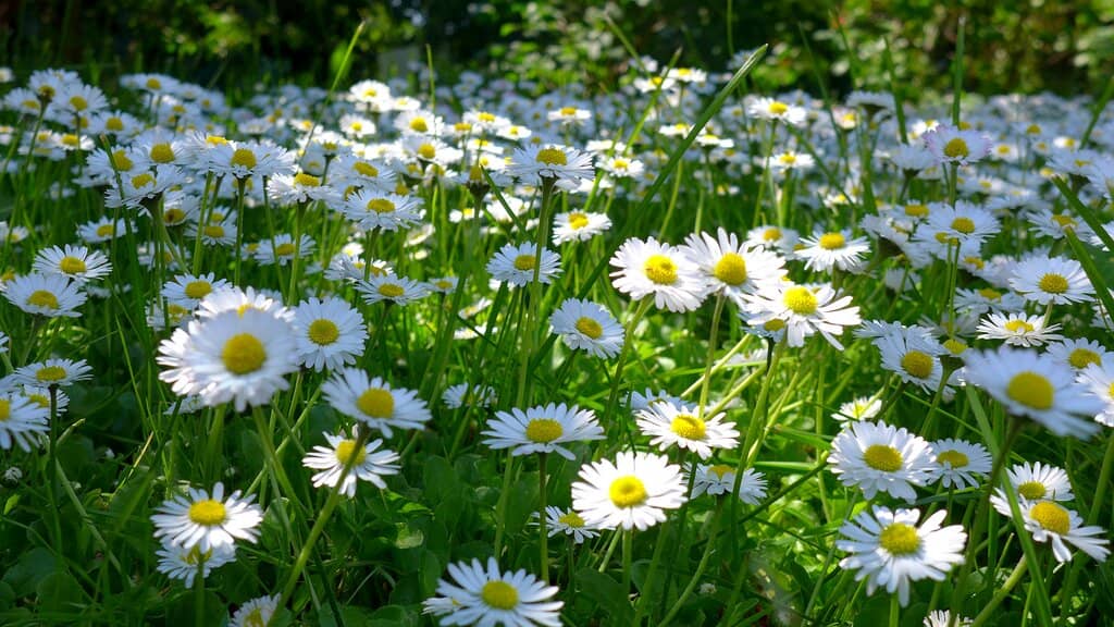 Interactive Zoo Encounters