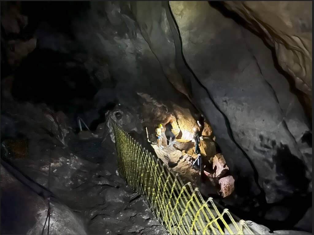 Migratory Bat Sanctuary