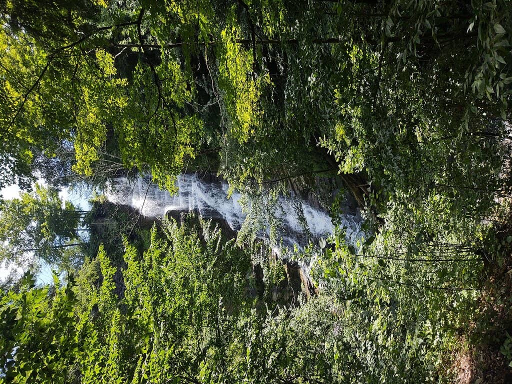 Vertical photo