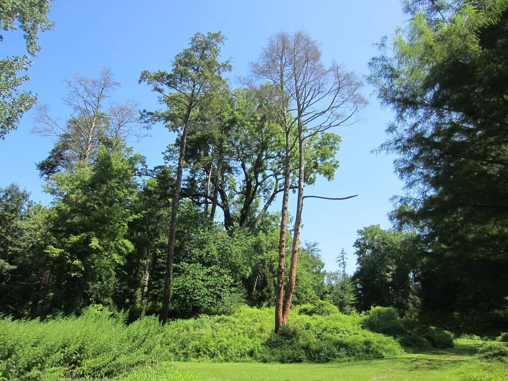 Interpretive Markers