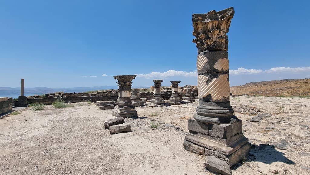 Ancient Primeval Forest