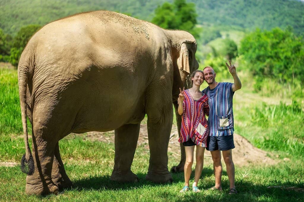 Bathing with Elephants