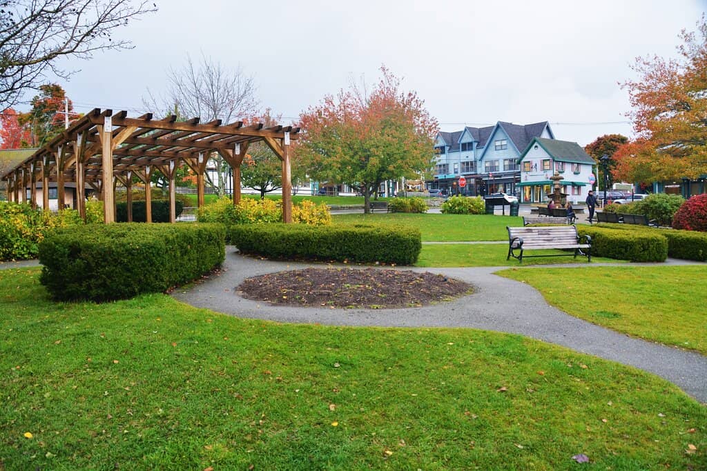 Live Street Performers