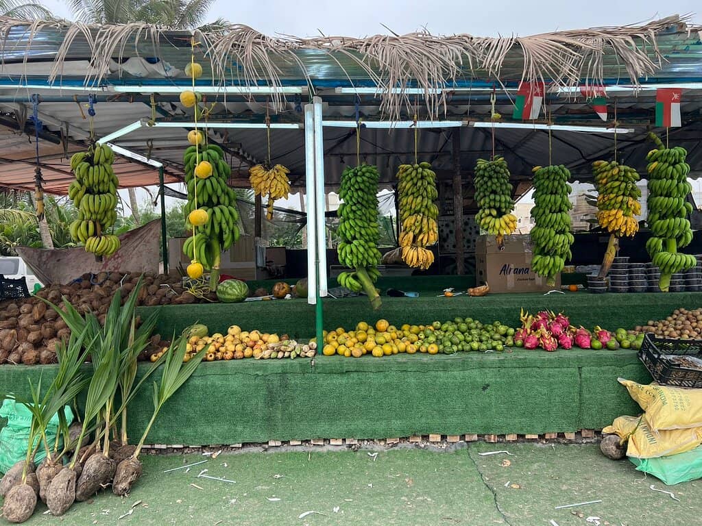 Haffa Beach Seaside Ambiance