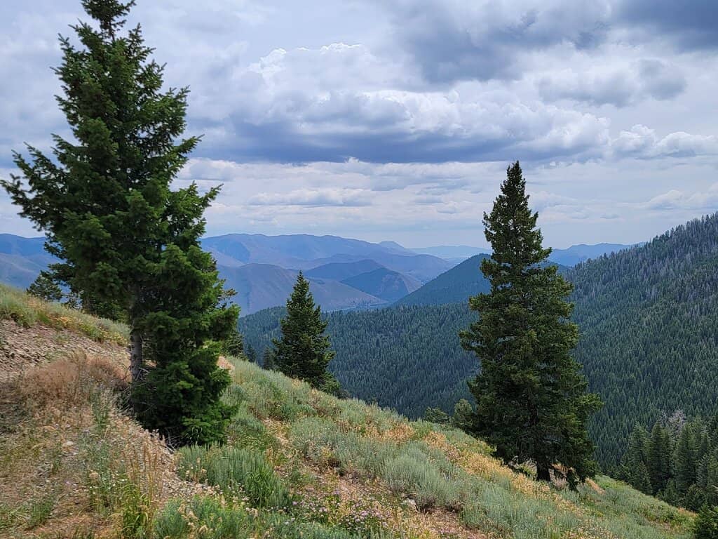 The Round House Restaurant