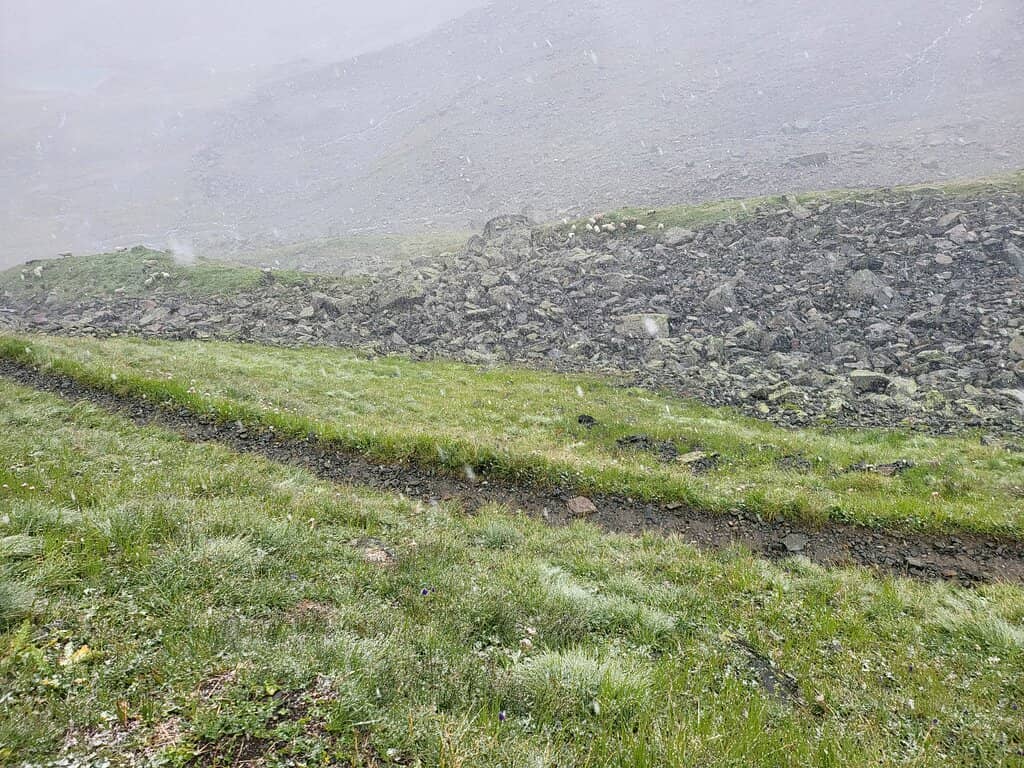 Vertical photo