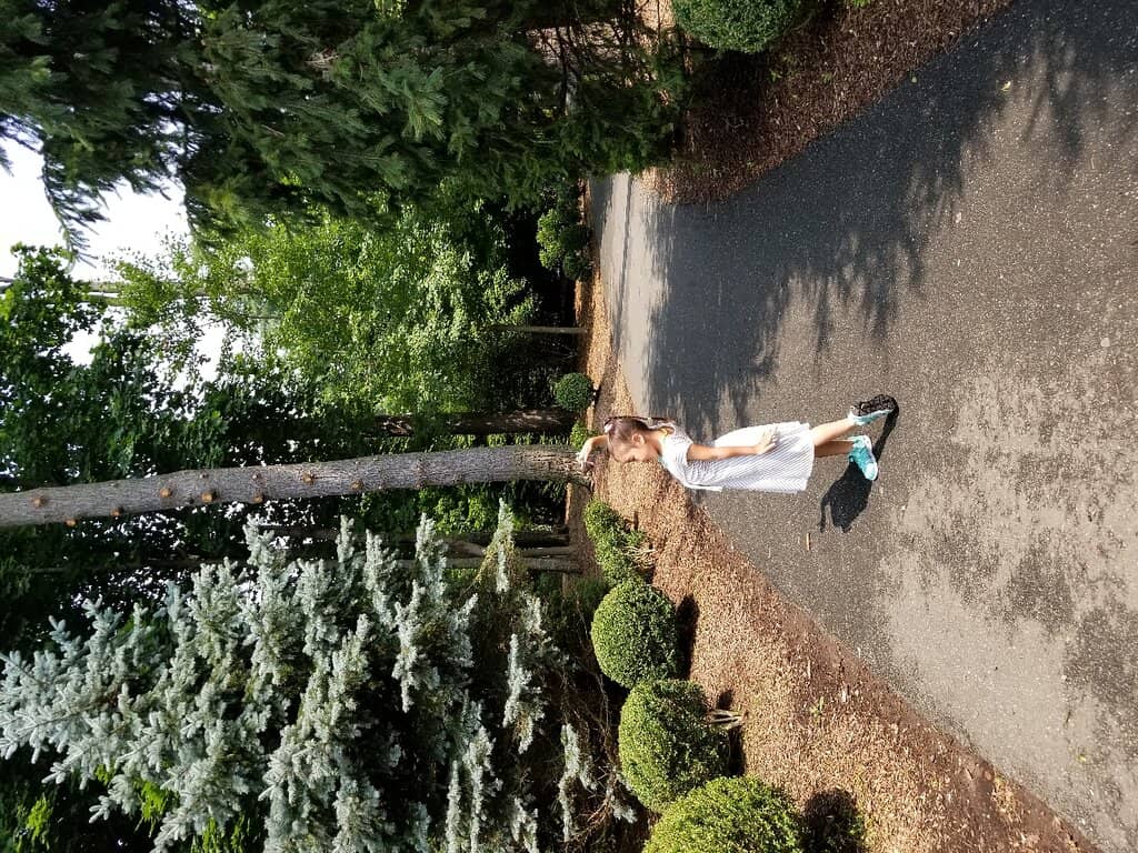 Scenic Waterfront Views