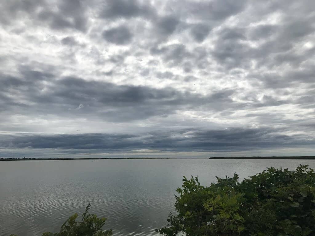 Coastal and Forest Trails