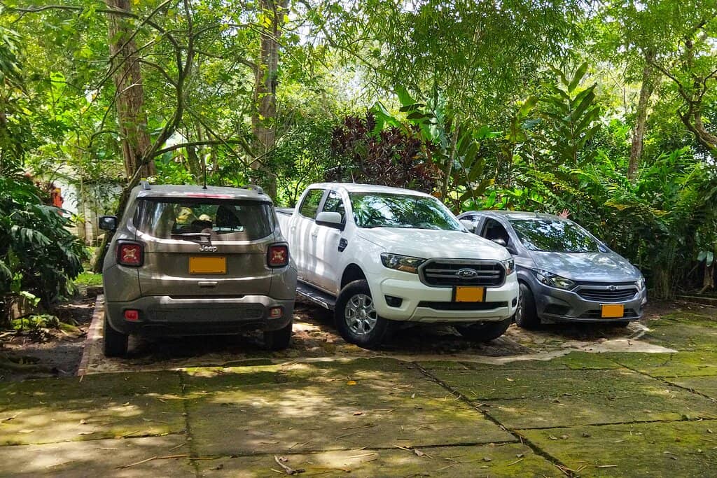 Authentic Coffee Tasting