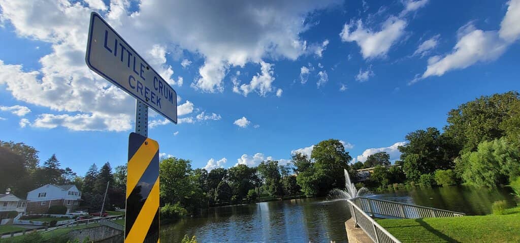Harbourfront Strolls