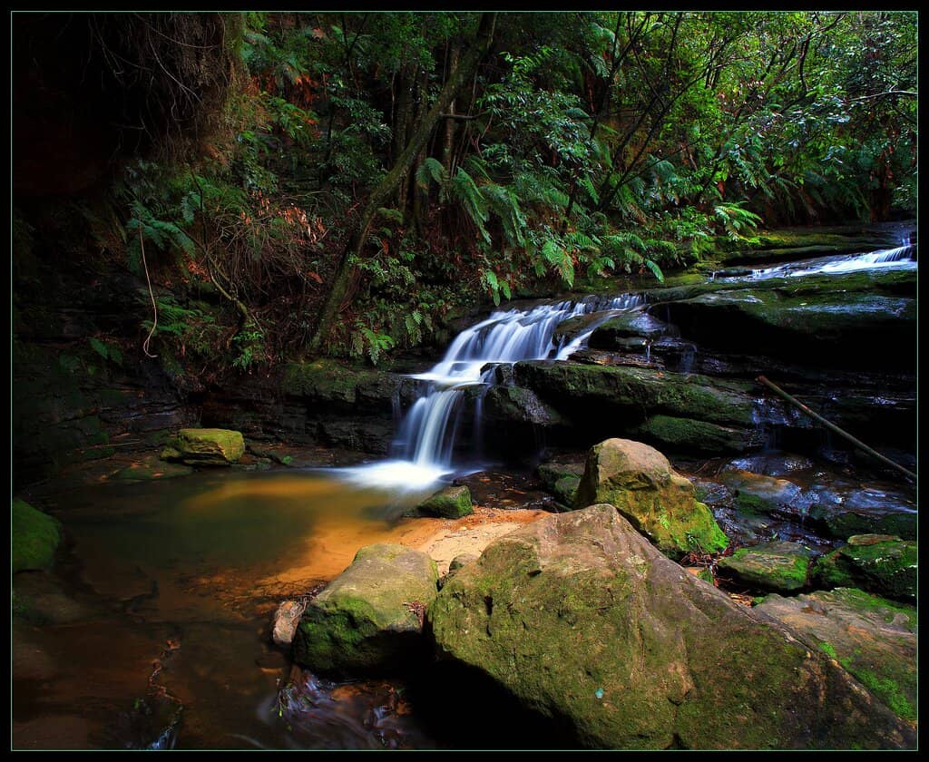 Leura Cascades Picnic Area