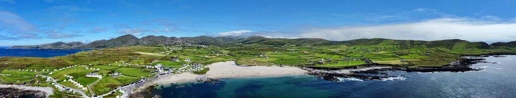 Biodiversity Project with Cows