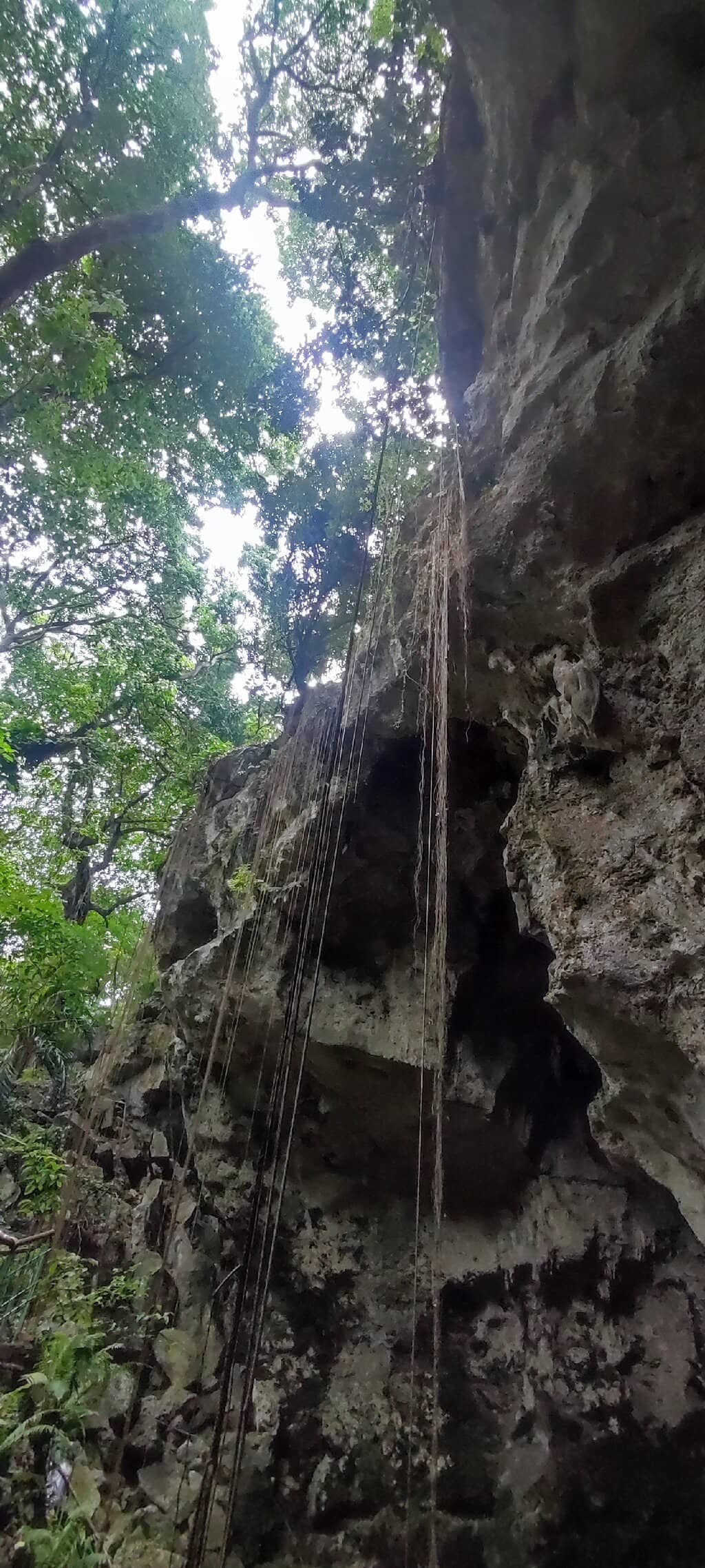 Hiking through Cotubanamá National Park