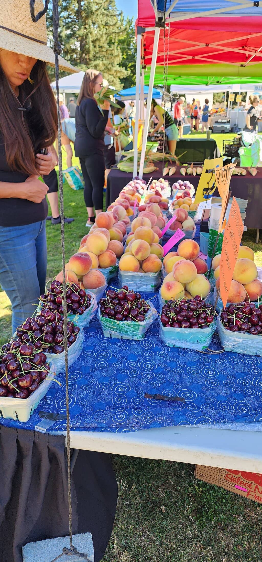 Fresh Produce Galore