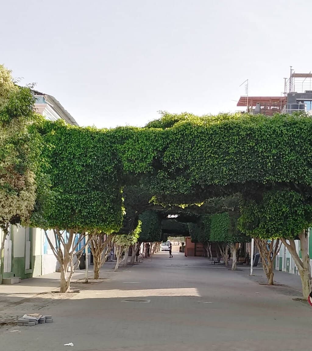 Copacabana's Morning Sun