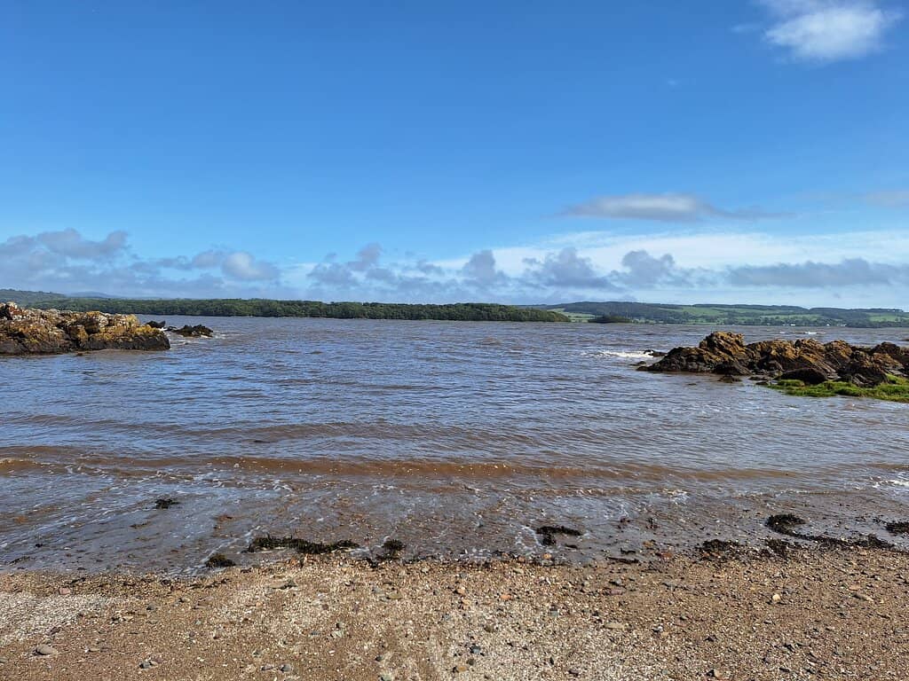 Rock Pools and Shells