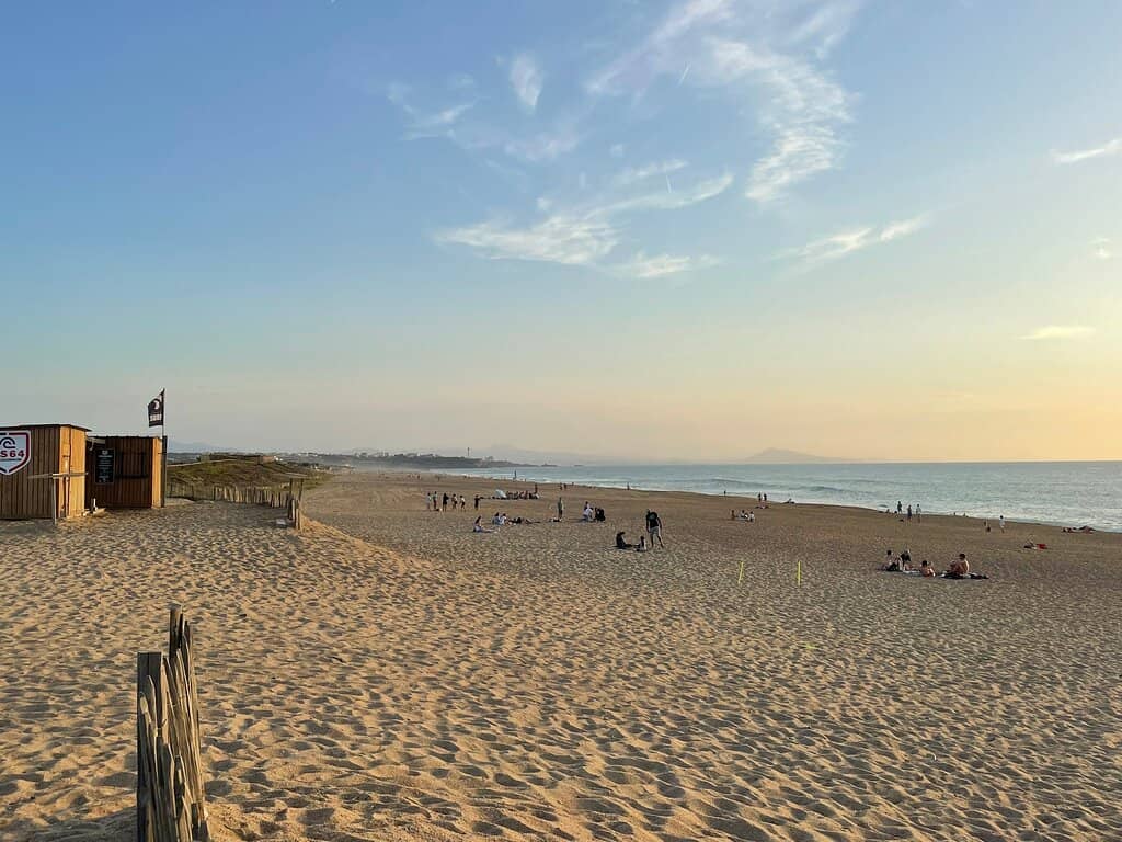 Sandy Promenade Stroll