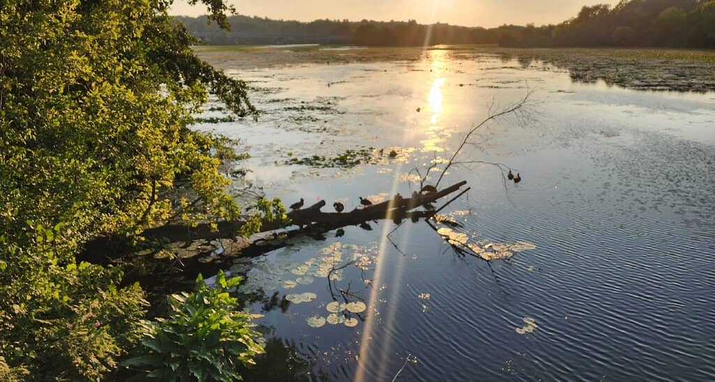 Extensive Walking Trails