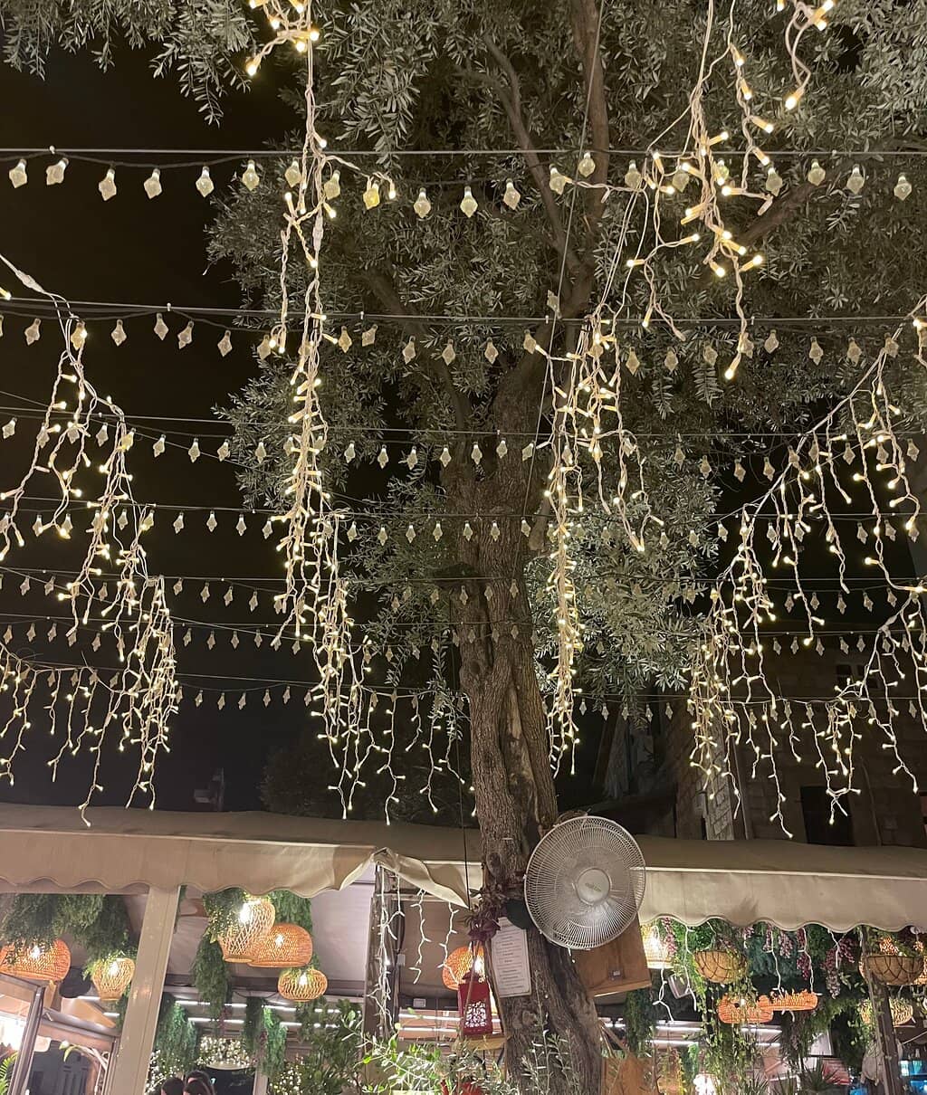 Authentic Mediterranean Delights