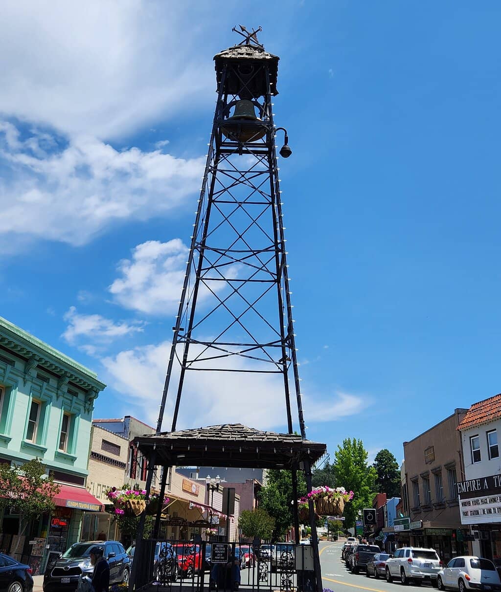 Seasonal Decorations