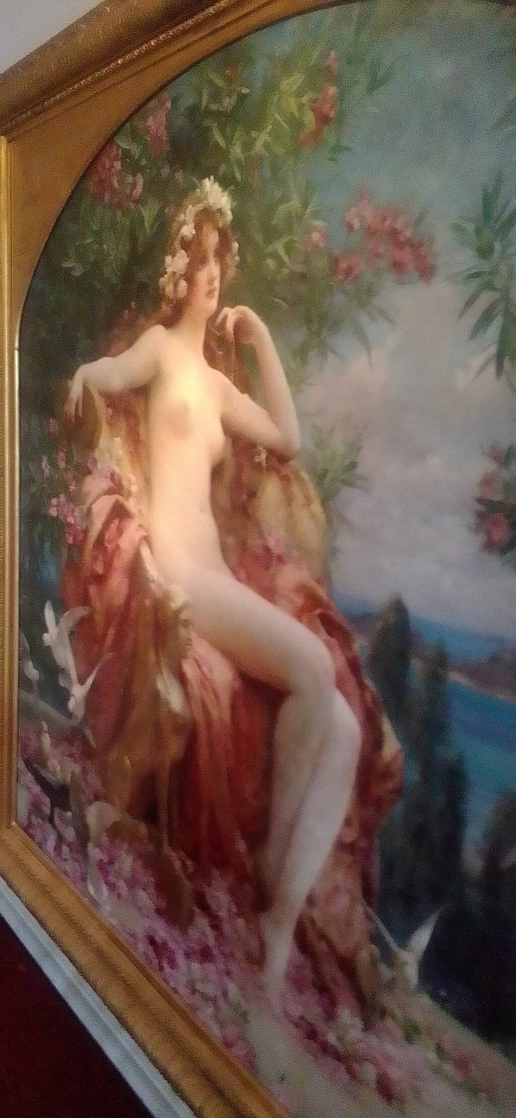Local Artist Showcases