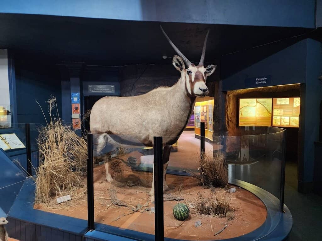 Diamond Discovery Era