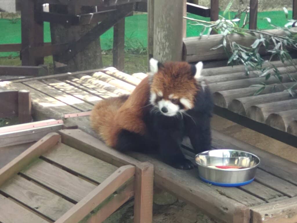 National Scenic Beauty Gardens