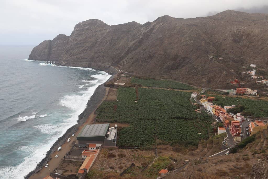 Abundant Marine Life