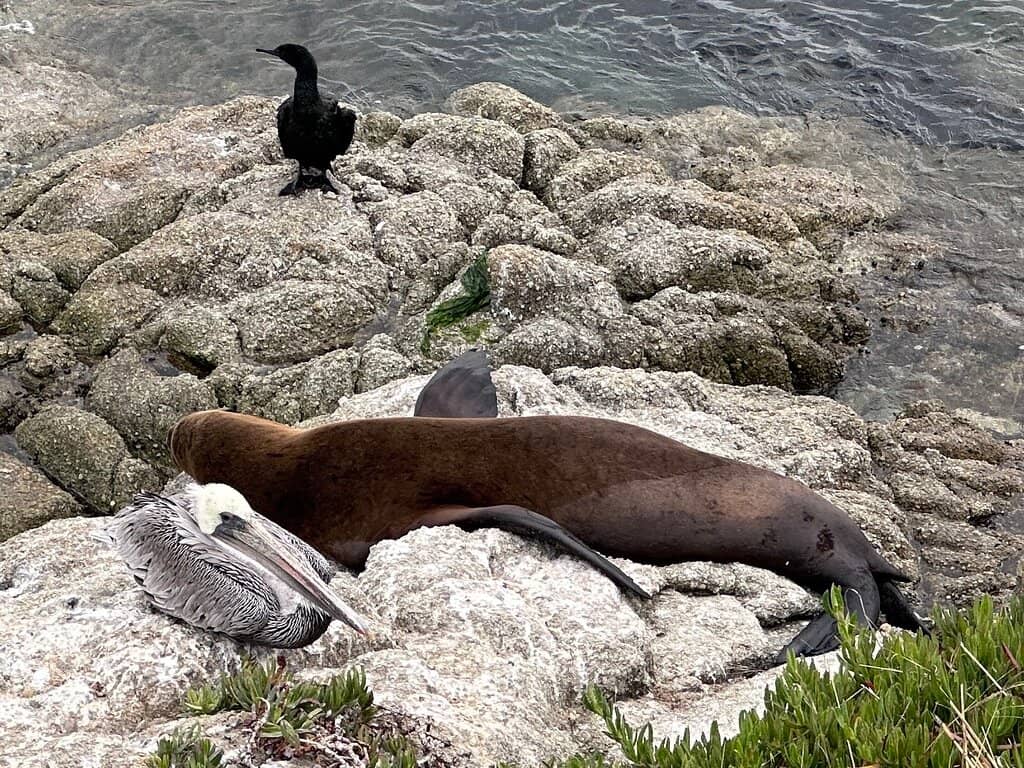 SCUBA Diving & Snorkeling Hub