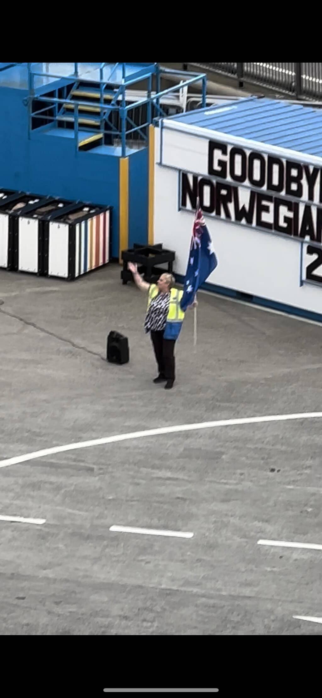 Local Wildlife Spotting