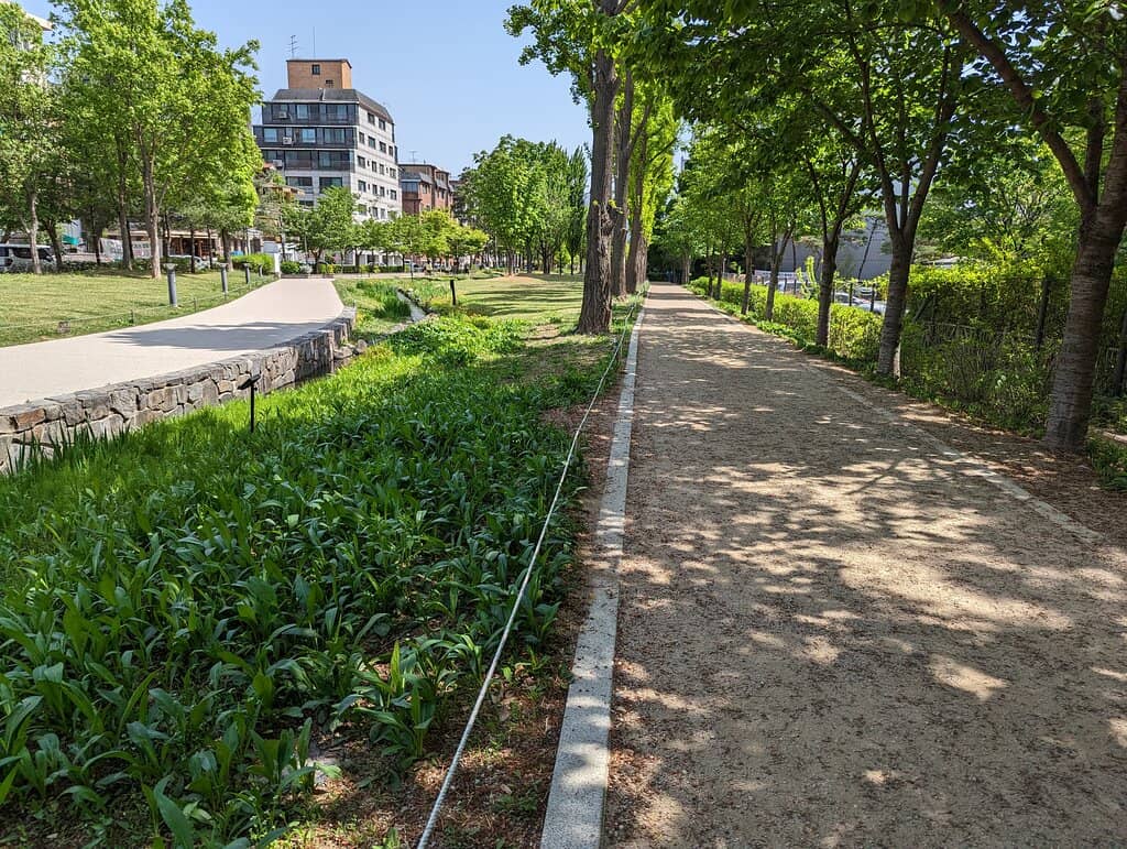 Yeonnam-dong Cafe Strip