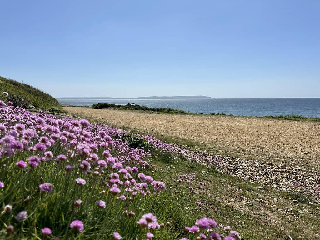 Views of The Needles