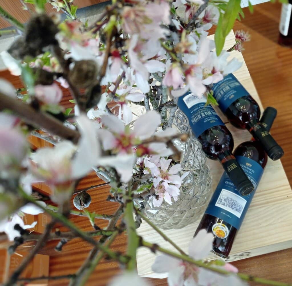 Vindima (Grape Harvest)