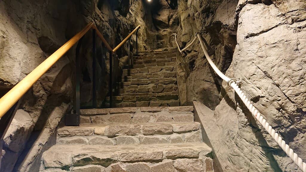 Carnivorous Plants Exhibition