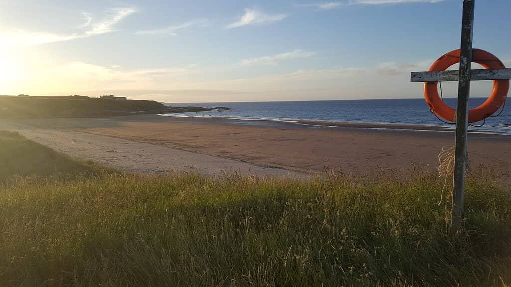 Expansive Sandy Stretches