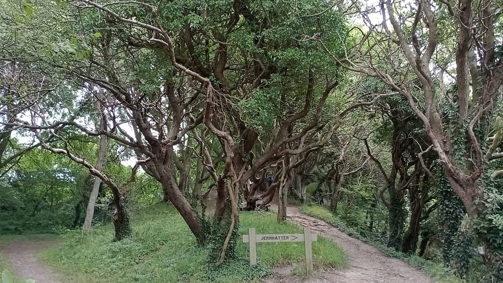 Vertical photo